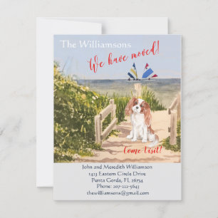 引っ越しましたドッグ海ビーチ移動 案内状