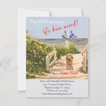 引っ越しましたドッグ海ビーチ移動