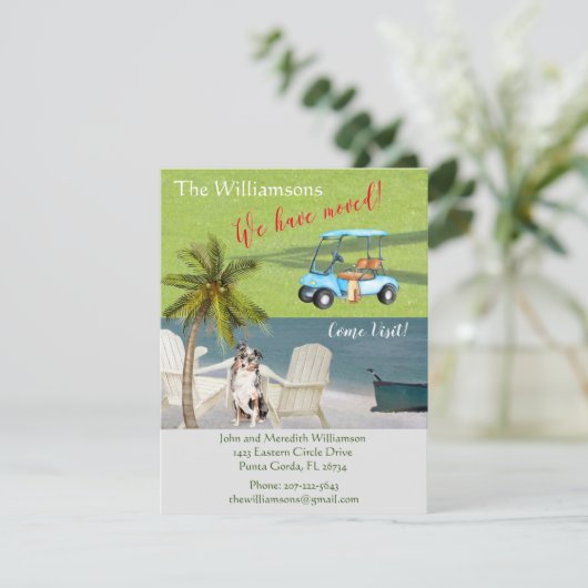 引っ越しましたドッグ海ビーチ移動 案内状 (スタンド正面)