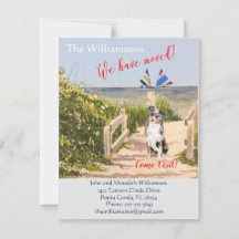 引っ越しましたドッグ海ビーチ