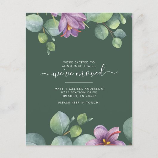 引っ越しましたバジェットユーカリ多肉移動 (正面)