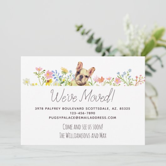 引っ越しましたフランスのブルドッグフローラ移動 案内状 (スタンド正面)