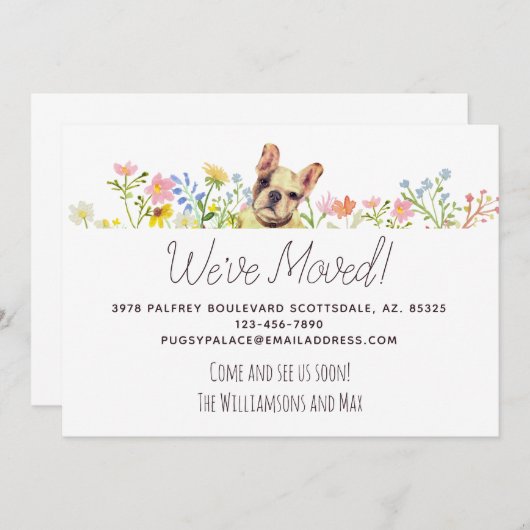 引っ越しましたフランスのブルドッグフローラ移動 案内状 (正面/裏面)