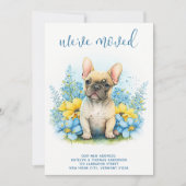 引っ越しましたフランスのブルドッグ子犬の移動 案内状 (正面)