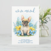 引っ越しましたフランスのブルドッグ子犬の移動 案内状 (スタンド正面)