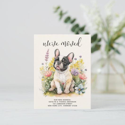 引っ越しましたフランスのブルドッグ子犬フローラ犬の移動 案内ポストカード (スタンド正面)
