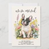 引っ越しましたフランスのブルドッグ子犬フローラ犬の移動 案内状 (正面)