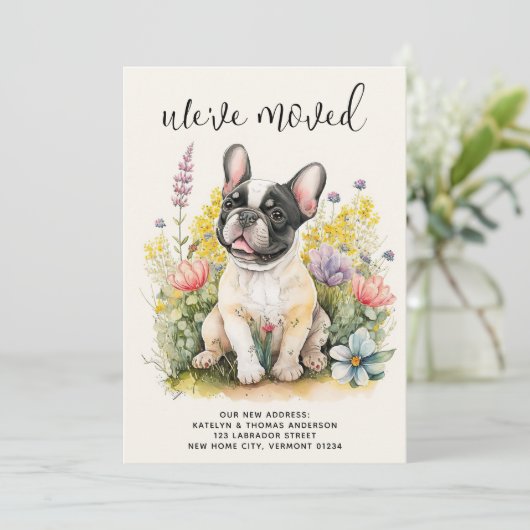 引っ越しましたフランスのブルドッグ子犬フローラ犬の移動 案内状 (スタンド正面)