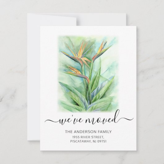 引っ越しましたフローラ楽園の名移動の鳥 案内状 (正面)