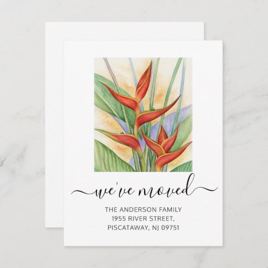 引っ越しましたヘリコニアフローラスクリプト移動 案内状 (正面/裏面)