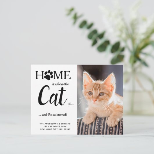 引っ越しましたペットフォト新しいアドレス猫の移動 案内ポストカード (スタンド正面)