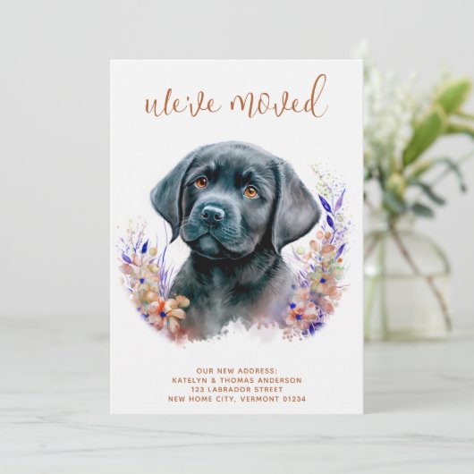 引っ越しましたラブラドール子犬ボホフローラ犬の移動 案内状 (スタンド正面)