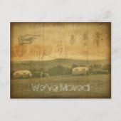 引っ越しましたヴィンテージトラベルトレーラーズコラグランジージ 案内ポストカード (正面)