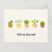 引っ越しました新しいアドレスモダンプラント 案内ポストカード (正面)