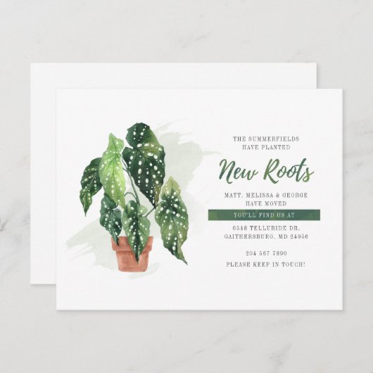 引っ越しました植え新しいルーツの動きの発表 (正面/裏面)