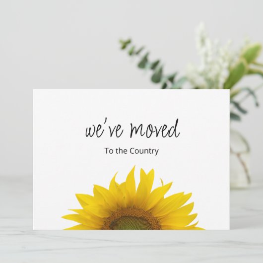 引っ越しました植物性ひまわり移動 案内状 (スタンド正面)