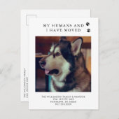 引っ越しました犬の写真の新しいアドレス犬の移動 案内ポストカード (正面/裏面)