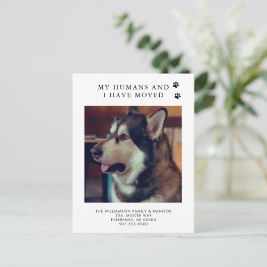 引っ越しました犬の写真の新しいアドレス犬の移動 案内ポストカード (スタンド正面)