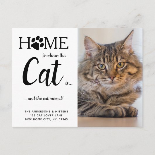 引っ越しました猫の写真の新しいアドレスペット移動 ポストカード (正面)