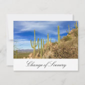 引っ越しました砂漠南西エレガント移動 案内状 (正面)