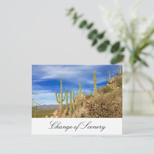 引っ越しました砂漠南西エレガント移動 案内状 (スタンド正面)