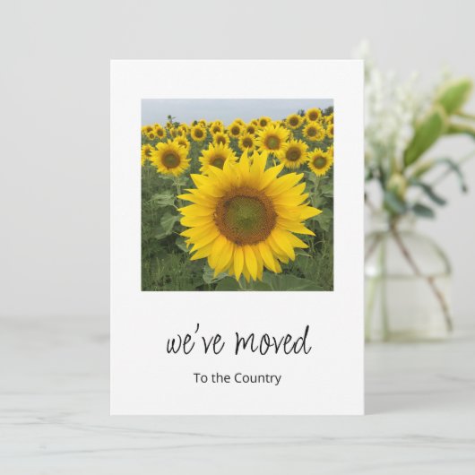 引っ越しました素朴ひまわり写真移動 案内状 (スタンド正面)
