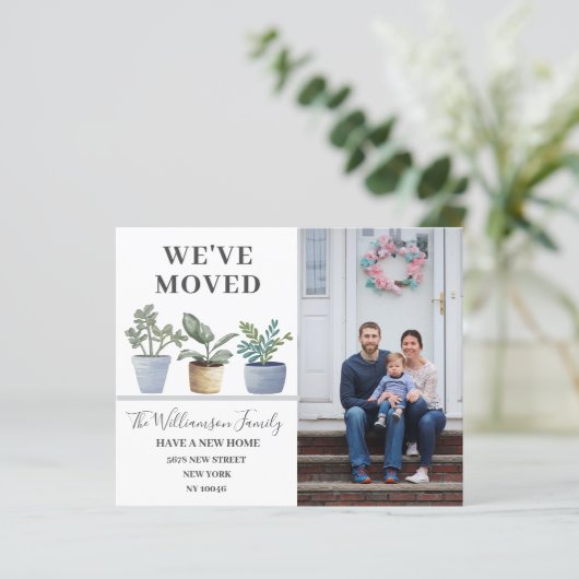 引っ越しました鉢植えダスティブルー発表 (スタンド正面)