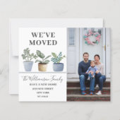 引っ越しました鉢植えダスティブルー発表 (正面)