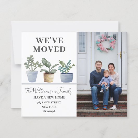 引っ越しました鉢植えダスティブルー発表 (正面)