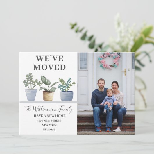 引っ越しました鉢植えダスティブルー発表 案内状 (スタンド正面)