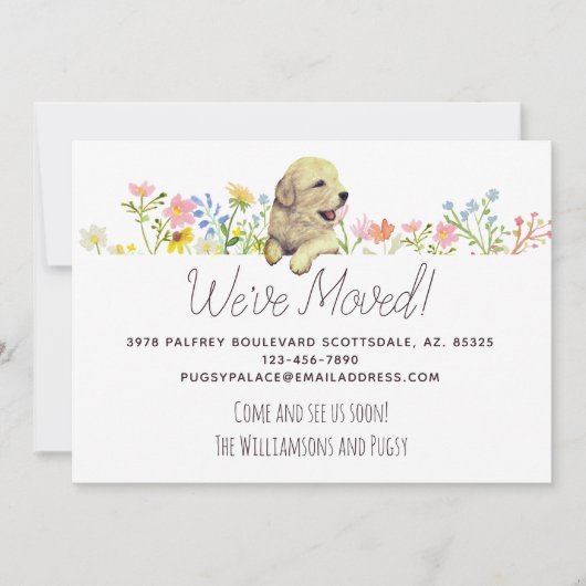 引っ越しました!ゴールデンレトリバーパピーの発表 案内状 (正面)