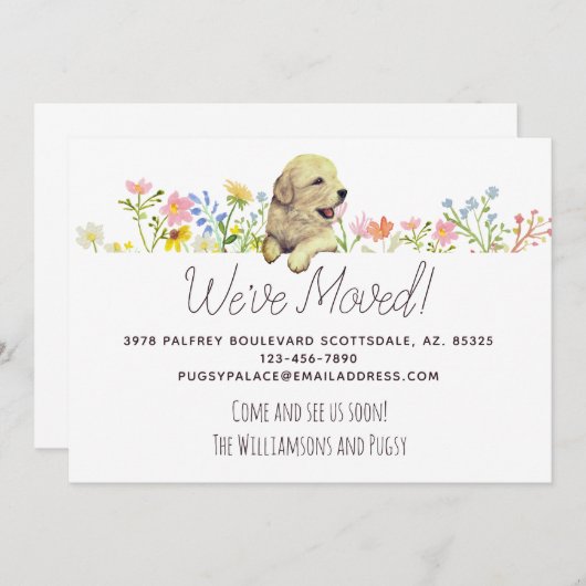 引っ越しました!ゴールデンレトリバーパピーの発表 案内状 (正面/裏面)
