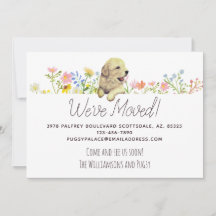 引っ越しました!ゴールデンレトリバーパピーの発表