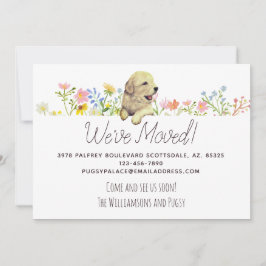 引っ越しました!ゴールデンレトリバーパピーの発表 案内状