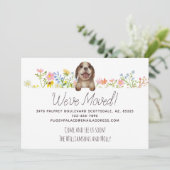 引っ越しました!ビーグルパピーフローラ移動 案内状 (スタンド正面)