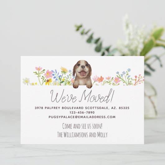 引っ越しました!ビーグルパピーフローラ移動 案内状 (スタンド正面)