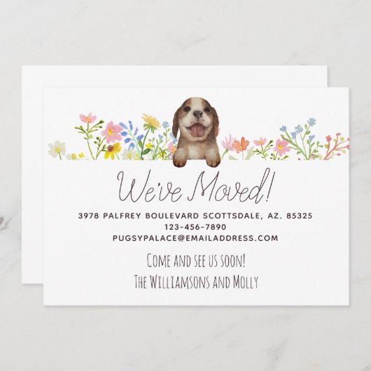 引っ越しました!ビーグルパピーフローラ移動 案内状 (正面/裏面)