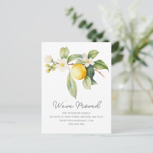 引っ越しました | レモンの花の新しいアドレス 案内ポストカード (スタンド正面)