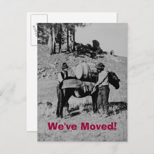 引っ越しました! 案内ポストカード (正面/裏面)