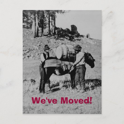 引っ越しました! 案内ポストカード (正面)