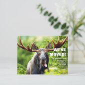 引っ越しました |移動カラフルのお知らせ ポストカード (スタンド正面)