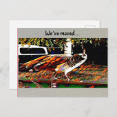 『引っ越しをした』はがき ポストカード (正面/裏面)