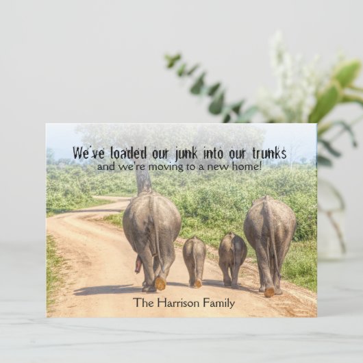 引っ越し中の新しい象のお知らせおもしろいへ 案内状 (スタンド正面)