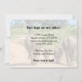 引っ越し中の新しい象のお知らせおもしろいへ 案内状 (裏面)