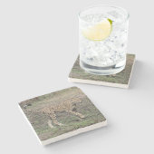 引っ越し中。 ストーンコースター (横)