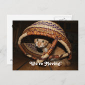 引っ越し中 案内ポストカード (正面/裏面)