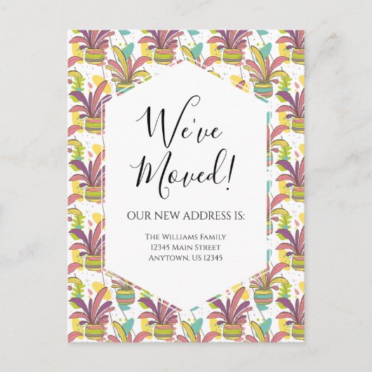 引っ越し案内カラフル鉢植モダン物 ポストカード (正面)