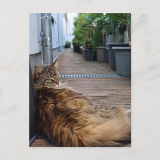 引っ越し祝いパーティーまたは移動したカード ポストカード