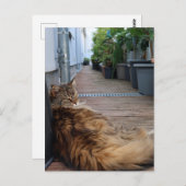 引っ越し祝いパーティーまたは移動したカード ポストカード (正面/裏面)