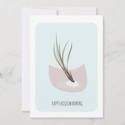 引っ越し祝いパーティーエアプラントニューホームパーティー (正面)